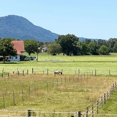 1567 - Ranch
