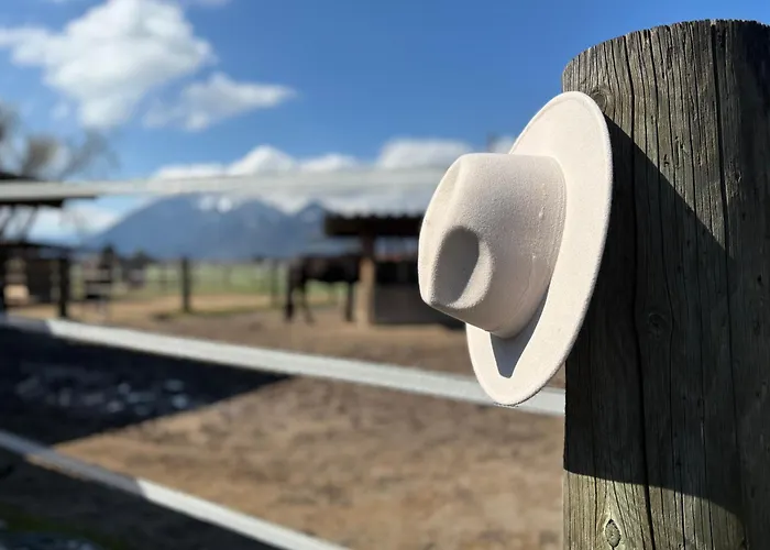 1567 - Ranch *